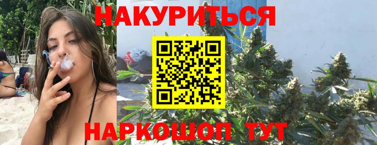 Каннабис планчик  Вход с VPN  Бошки Шишки ГИДРОПОН  Бийск 